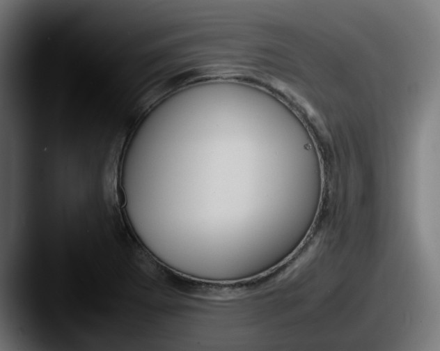 X0000087541273200705181042