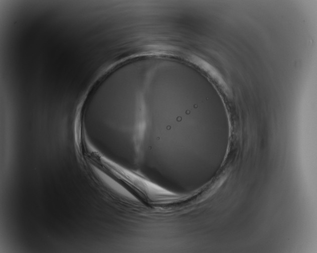 X0000087541275200705181042