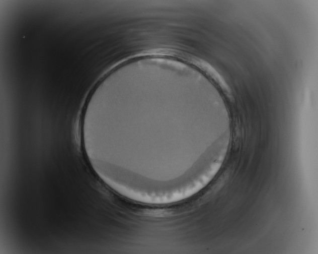 X0000087541276200705181042