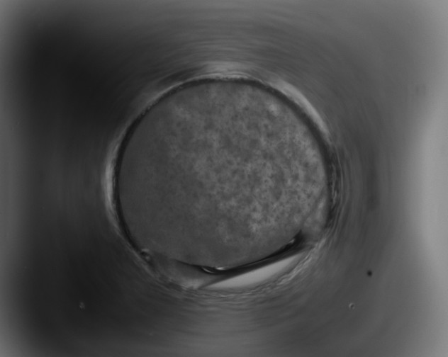 X0000087541277200705181042