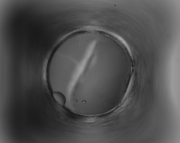 X0000087541279200705181042