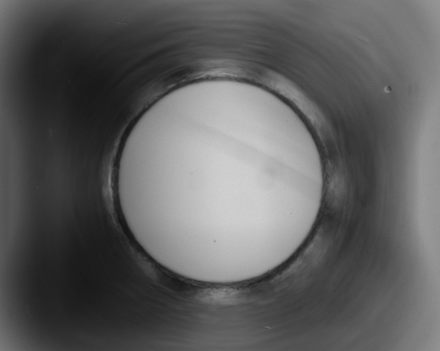 X0000087541282200705181042