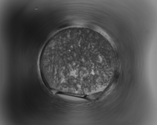 X0000087541283200705181042