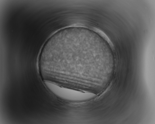 X0000087541284200705181042