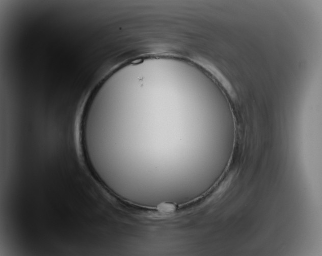 X0000087541285200705181042