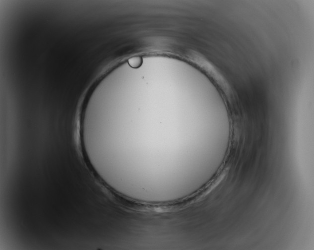 X0000087541286200705181042