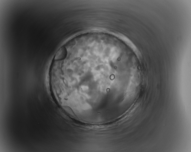 X0000087541287200705181042