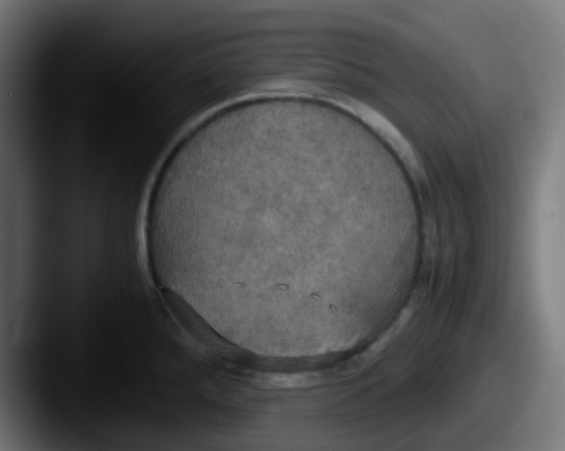 X0000087541288200705181042