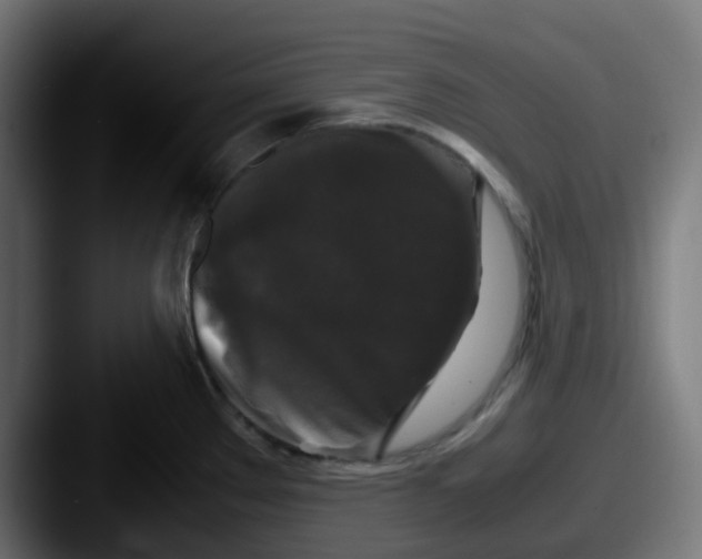 X0000087541289200705181042