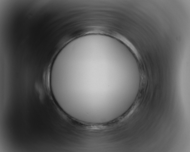 X0000087541290200705181042