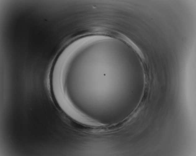 X0000087541291200705181042