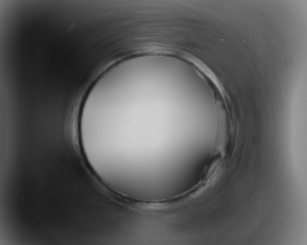 X0000087541293200705181042