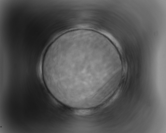 X0000087541294200705181042