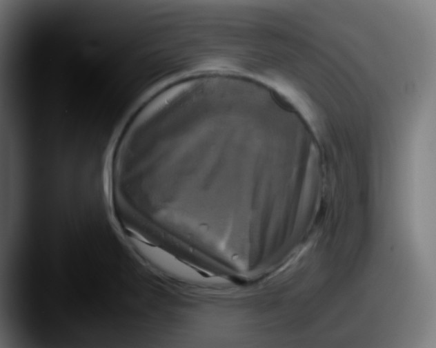 X0000087541295200705181042