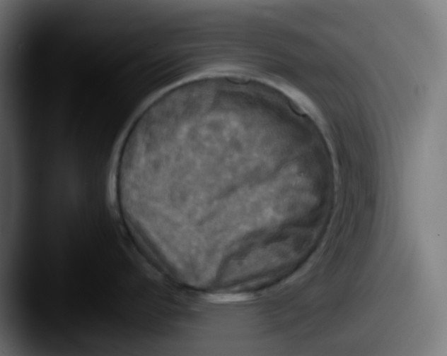 X0000087541296200705181042