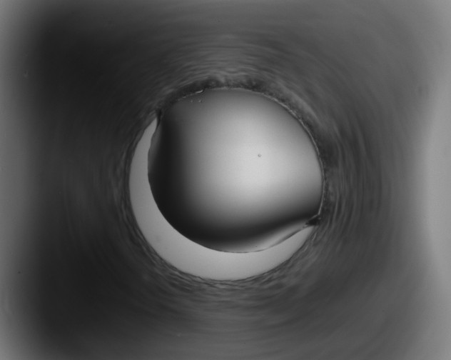 X0000087541298200705181041