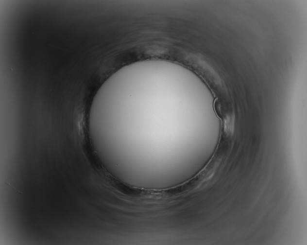 X0000087541299200705181041