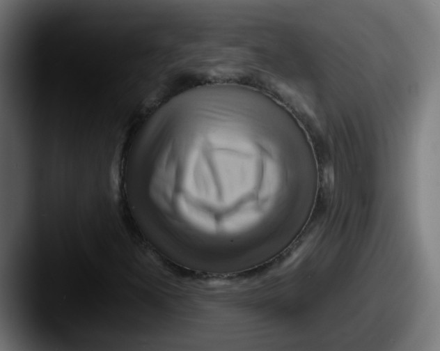 X0000087541300200705181041