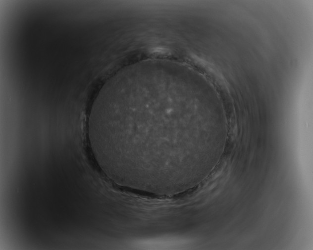 X0000087541301200705181041