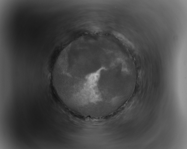 X0000087541302200705181041