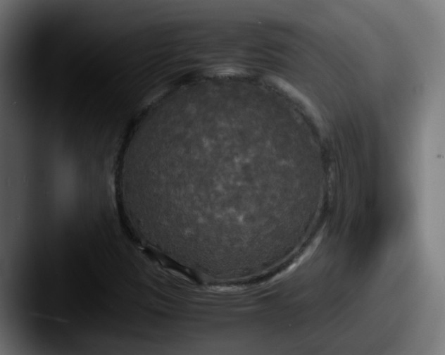 X0000087541305200705181041