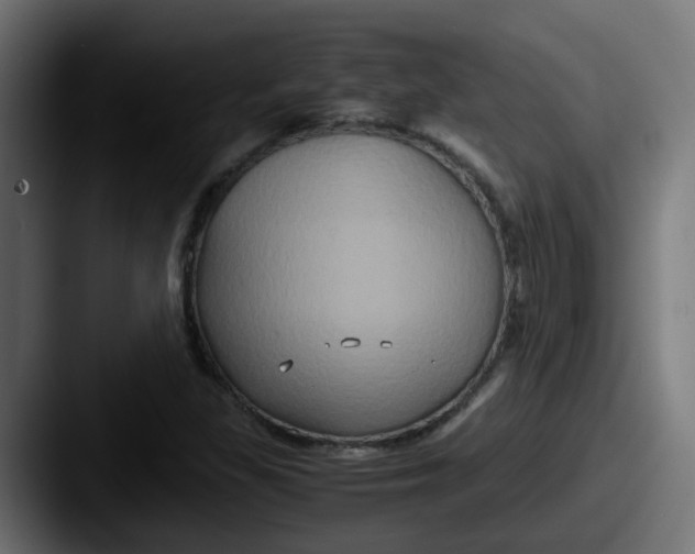 X0000087541309200705181041