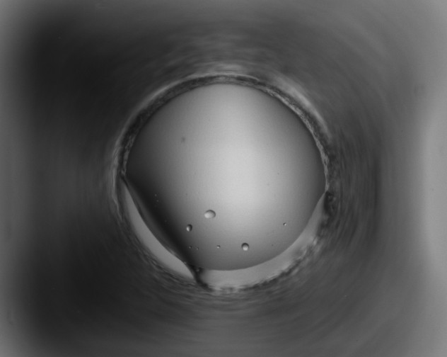 X0000087541312200705181041