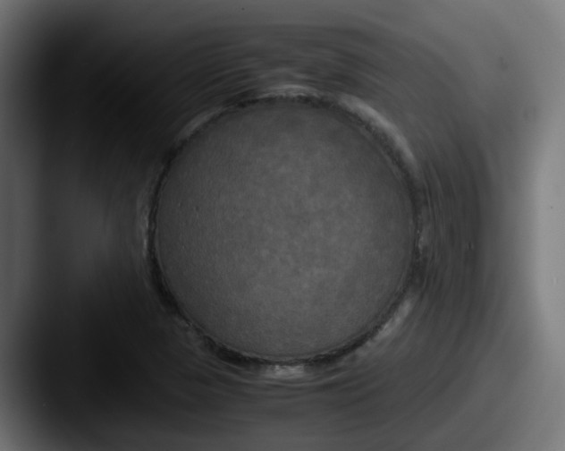 X0000087541313200705181041