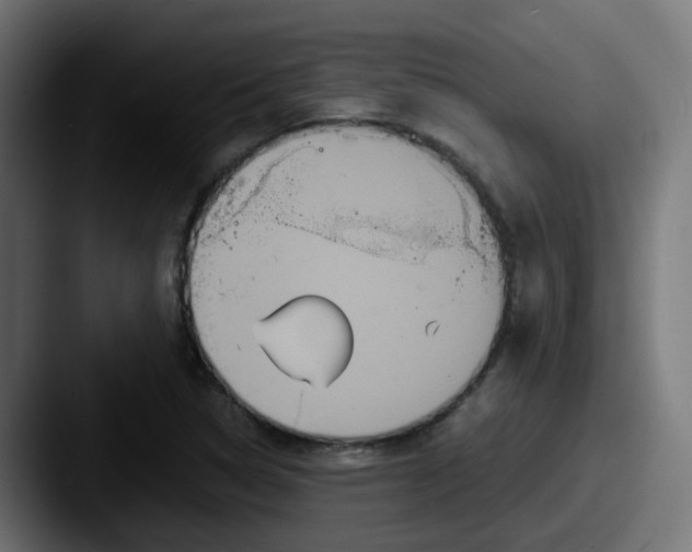 X0000087541314200705181041