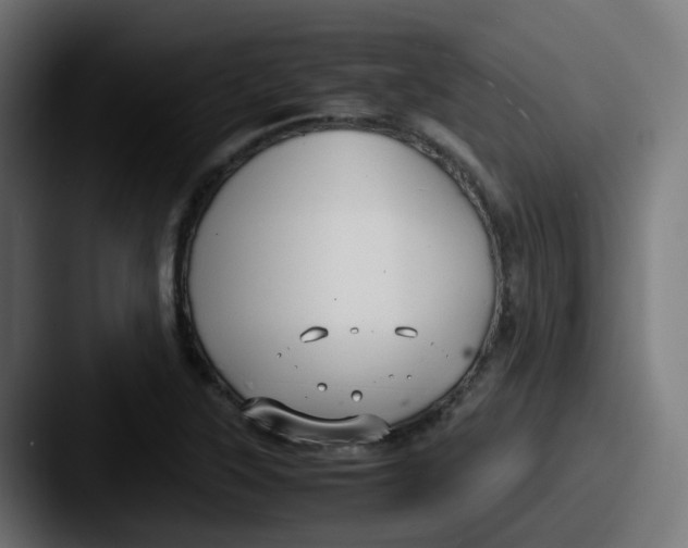 X0000087541315200705181041