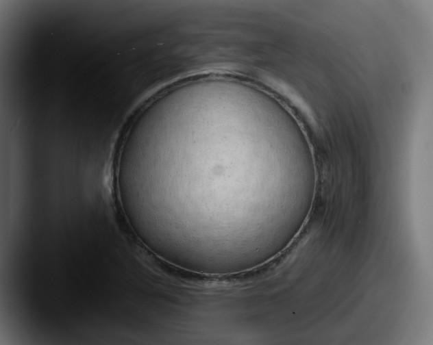 X0000087541316200705181041