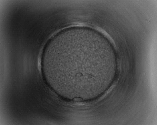 X0000087541318200705181041