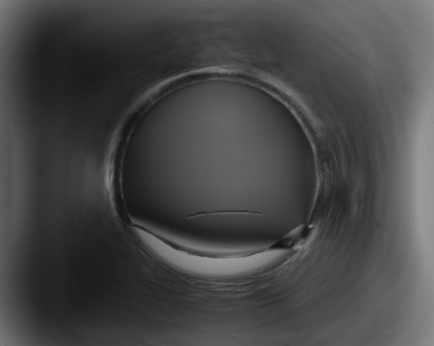 X0000087541319200705181041