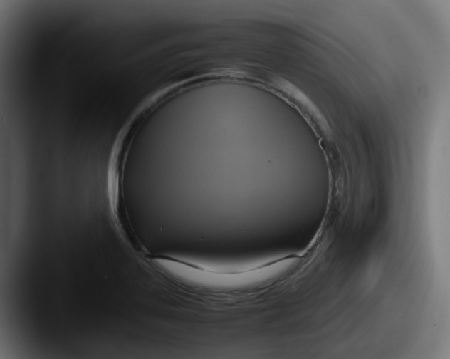 X0000087541323200705181041