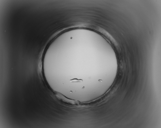 X0000087541324200705181041