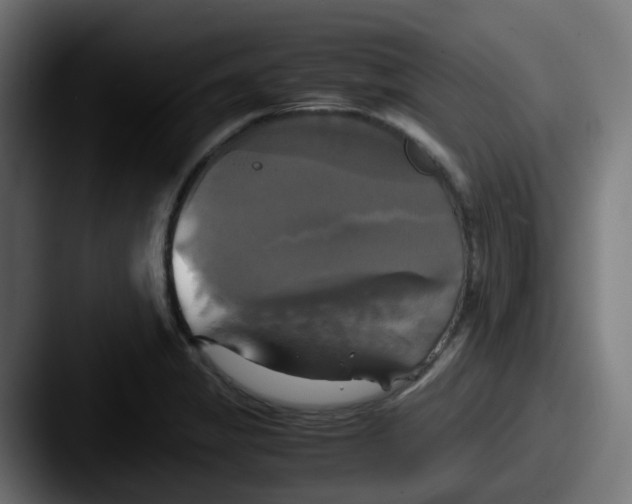 X0000087541325200705181041