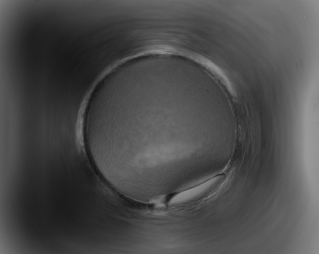 X0000087541326200705181041