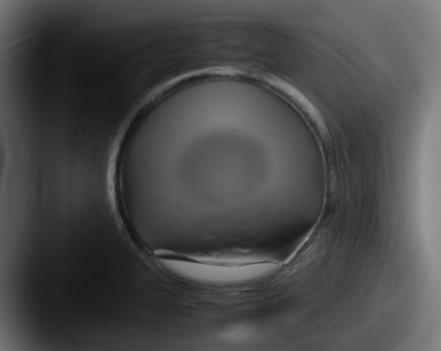 X0000087541327200705181041