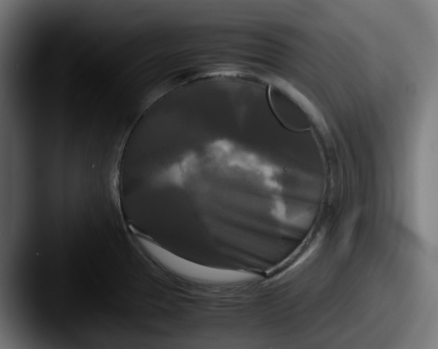 X0000087541329200705181041