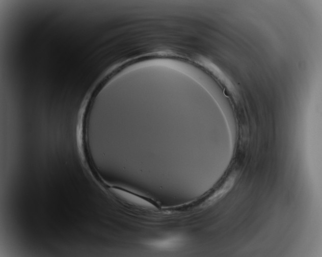 X0000087541331200705181041