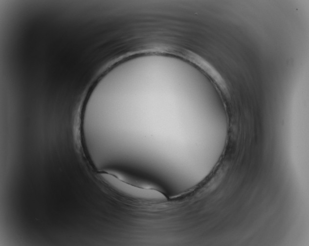 X0000087541332200705181041