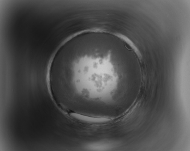 X0000087541335200705181041