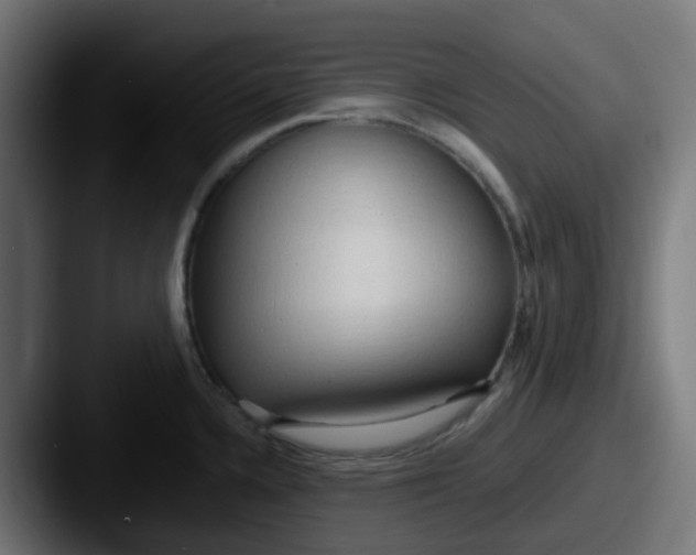 X0000087541336200705181041