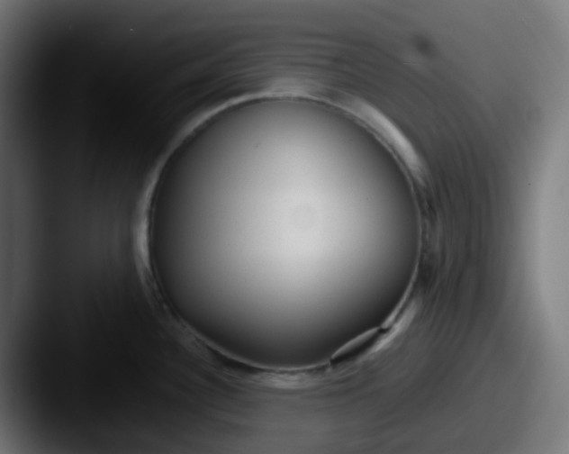 X0000087541340200705181041