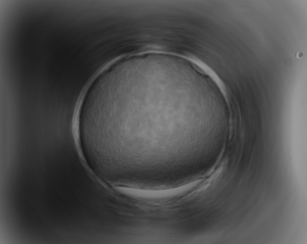 X0000087541341200705181041