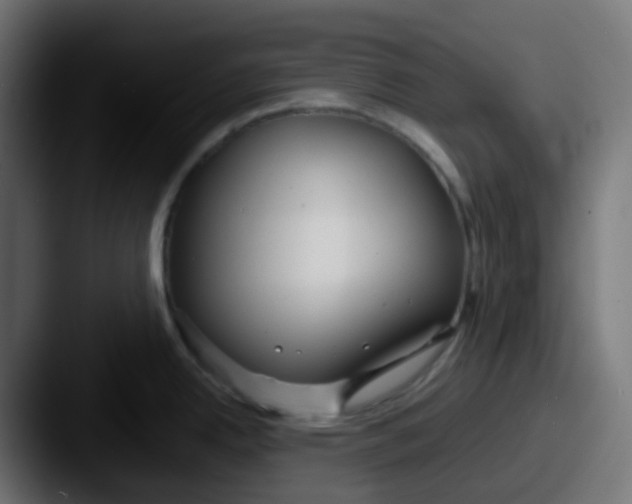 X0000087541342200705181041