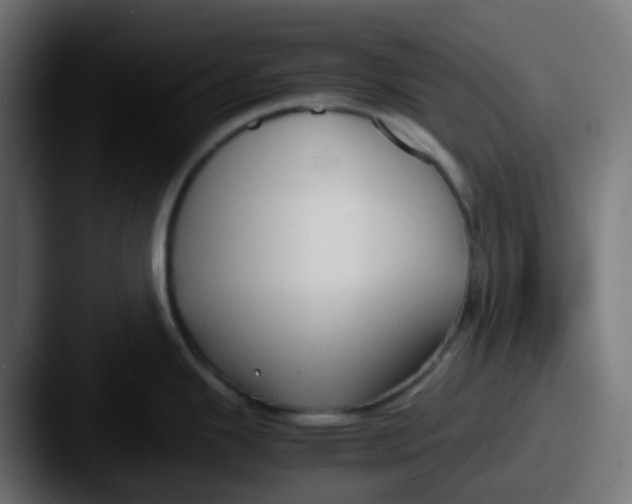 X0000087541343200705181042