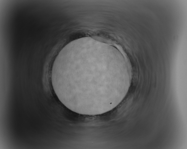 X0000087541345200705181041