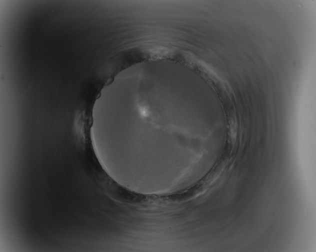 X0000087541346200705181041