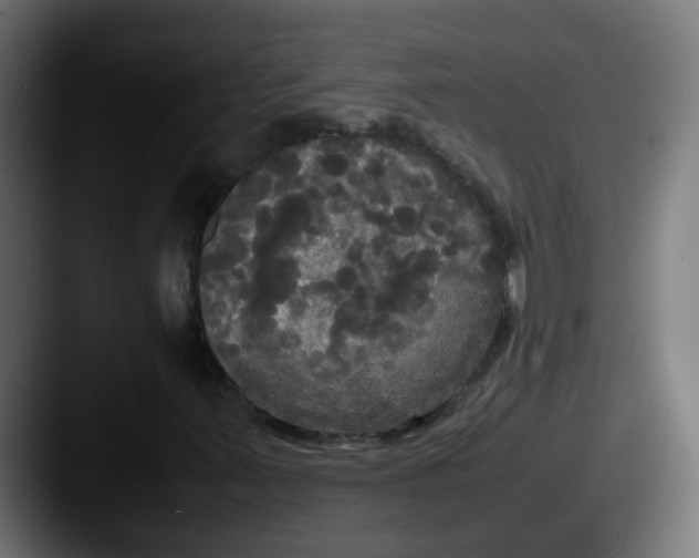 X0000087541347200705181041